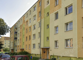 Image category