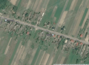 Image category