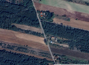Nieruchomość