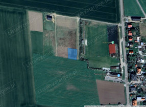 Image category