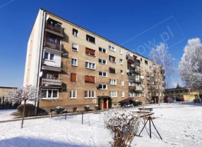 Image category
