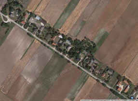 Image category