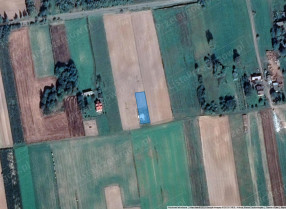 Image category
