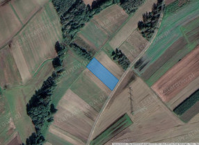 Image category