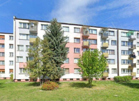 Nieruchomość