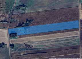 Image category