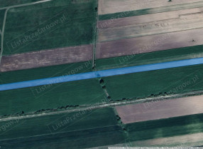 Image category