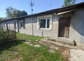 Image category