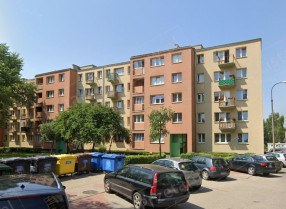 Image category