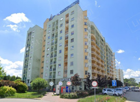 Image category
