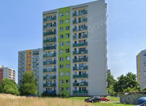 Image category