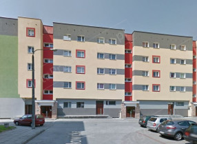 Image category