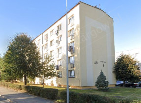 Image category