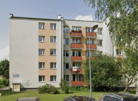 Image category