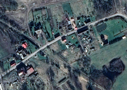 Image category