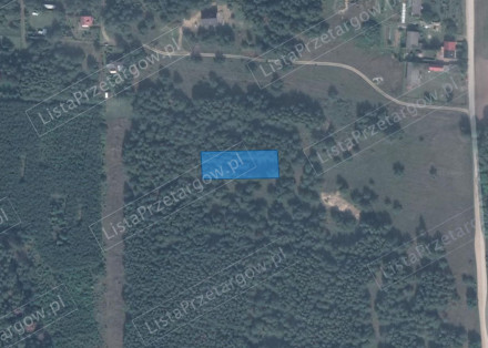 Image category