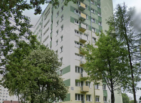 Image category