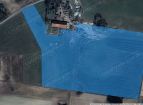 Image category