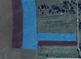 Image category