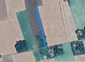 Image category