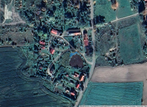 Image category
