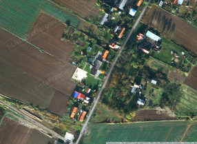 Image category