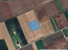 Image category