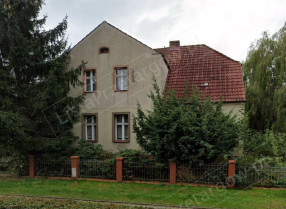 Image category