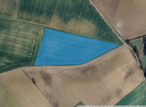 Image category
