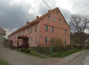 Image category