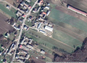 Image category