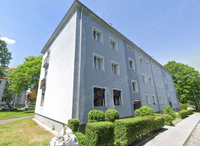 Image category
