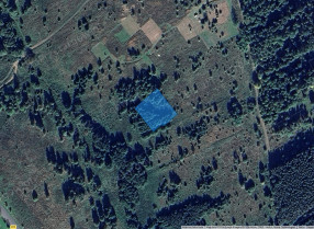 Nieruchomość