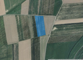 Image category