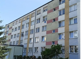 Image category