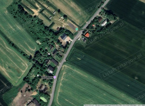 Image category