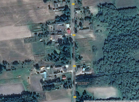 Image category