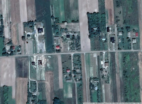 Image category