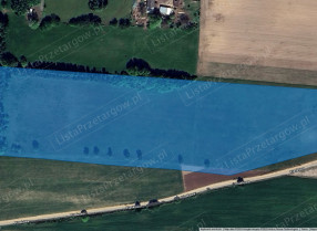 Image category
