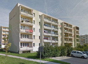 Image category