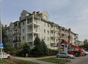 Image category