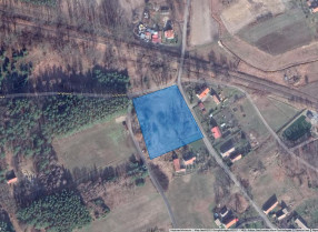 Image category