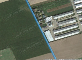 Image category