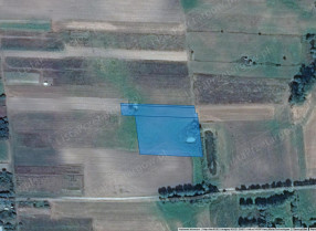 Image category