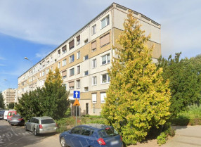 Image category