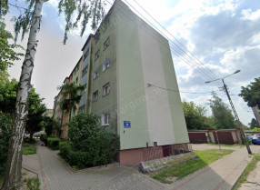 Image category