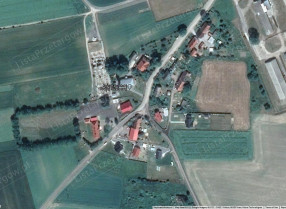 Image category