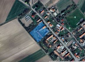 Image category