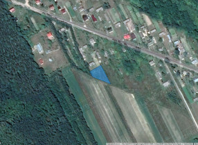 Image category