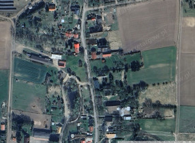 Image category